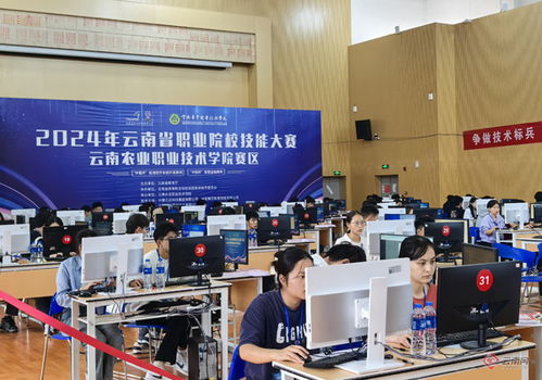 軟件英才聚云農(nóng)職，系統(tǒng)開(kāi)發(fā)展技能風(fēng)采——全省26所高職院校應(yīng)用軟件系統(tǒng)開(kāi)發(fā)競(jìng)賽側(cè)記